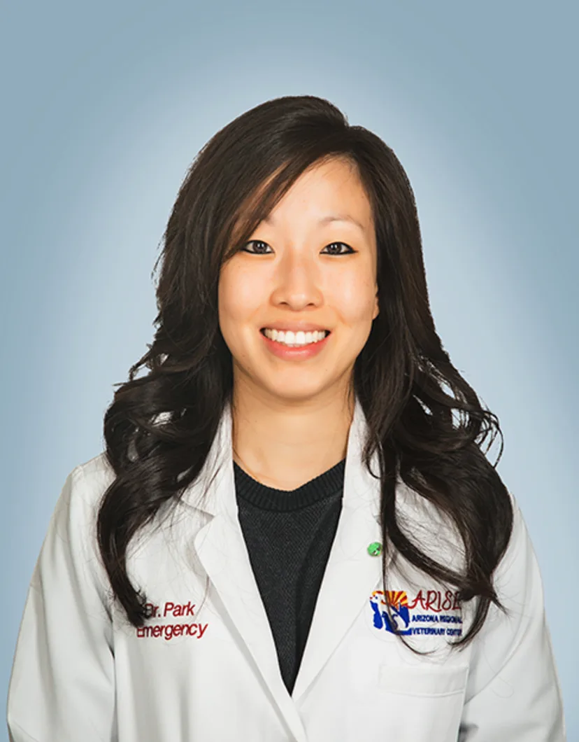 Dr. Shery Park at ARISE